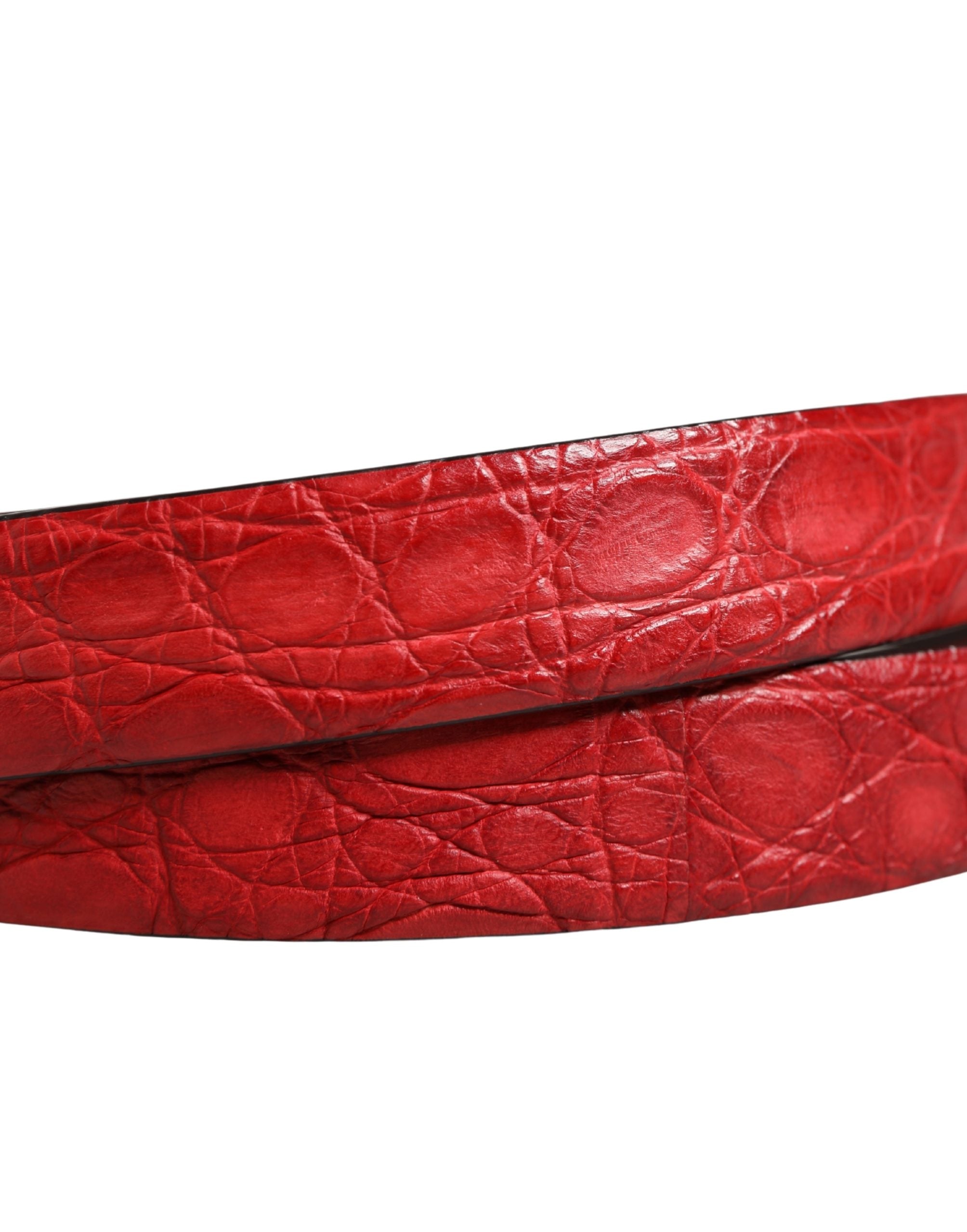 Cinturón Dolce & Gabbana para hombre de cuero exótico rojo con hebilla metálica
