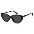 Polaroid Black Plastic Sunglasses
