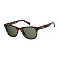Polaroid Brown Polycarbonate Sunglasses