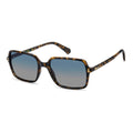 Polaroid Brown Polycarbonate Sunglasses
