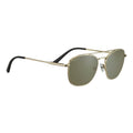 Serengeti Gold Plastic Sunglasses