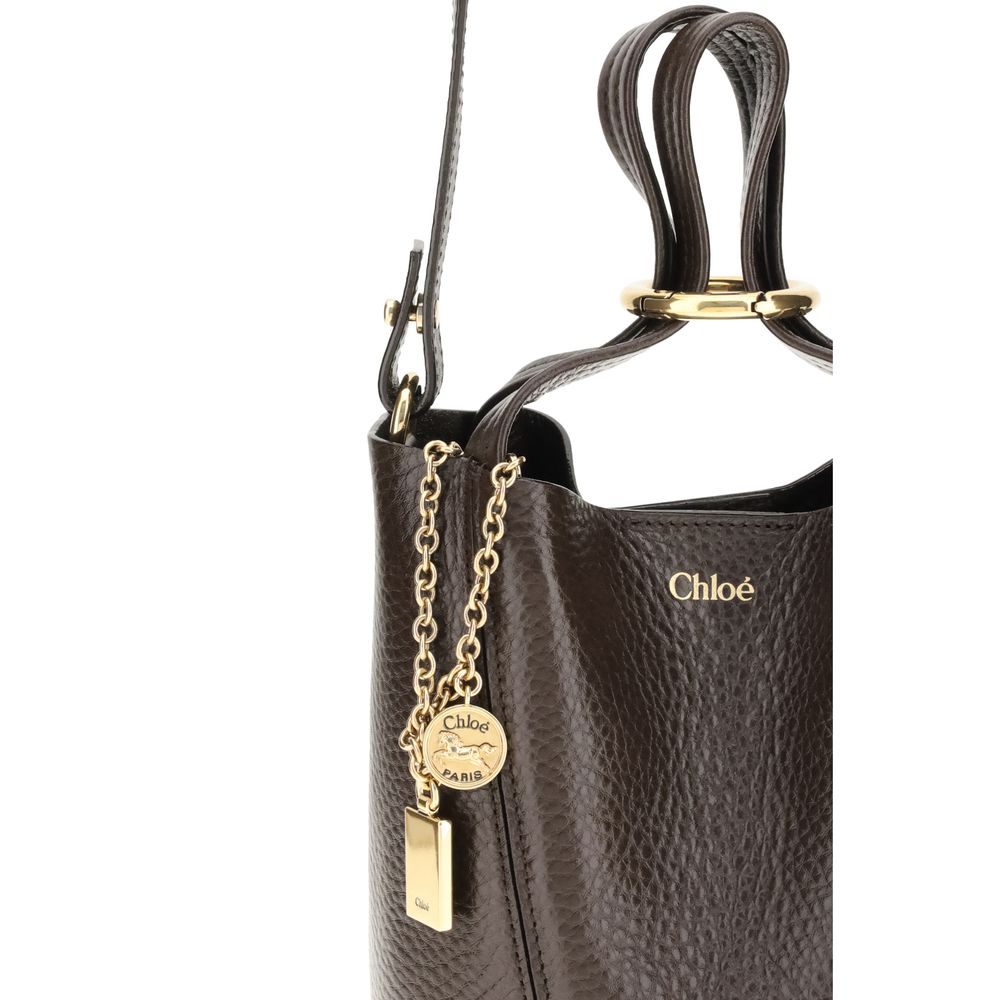 Chloé Brown Calf Leather Bos Taurus Shoulder Bag
