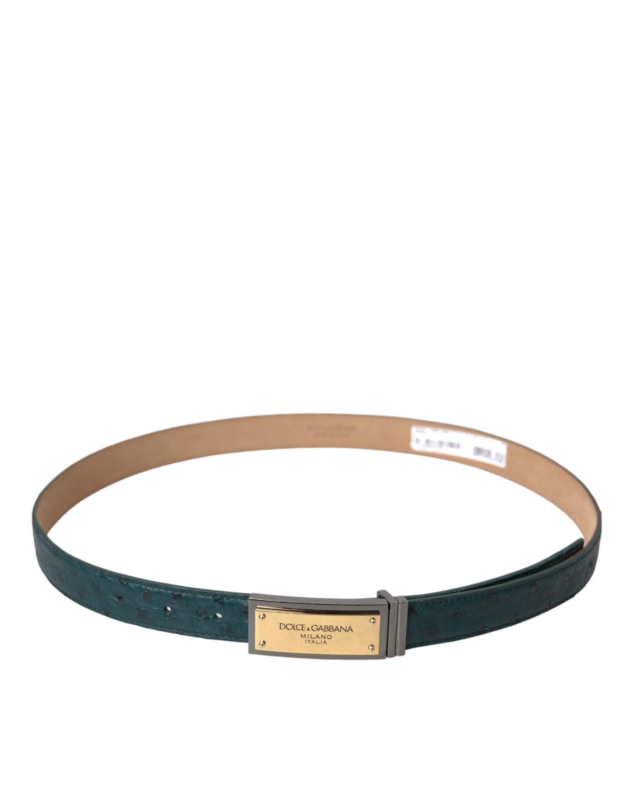 Cinturón Dolce & Gabbana de cuero verde con hebilla dorada grabada con el logo