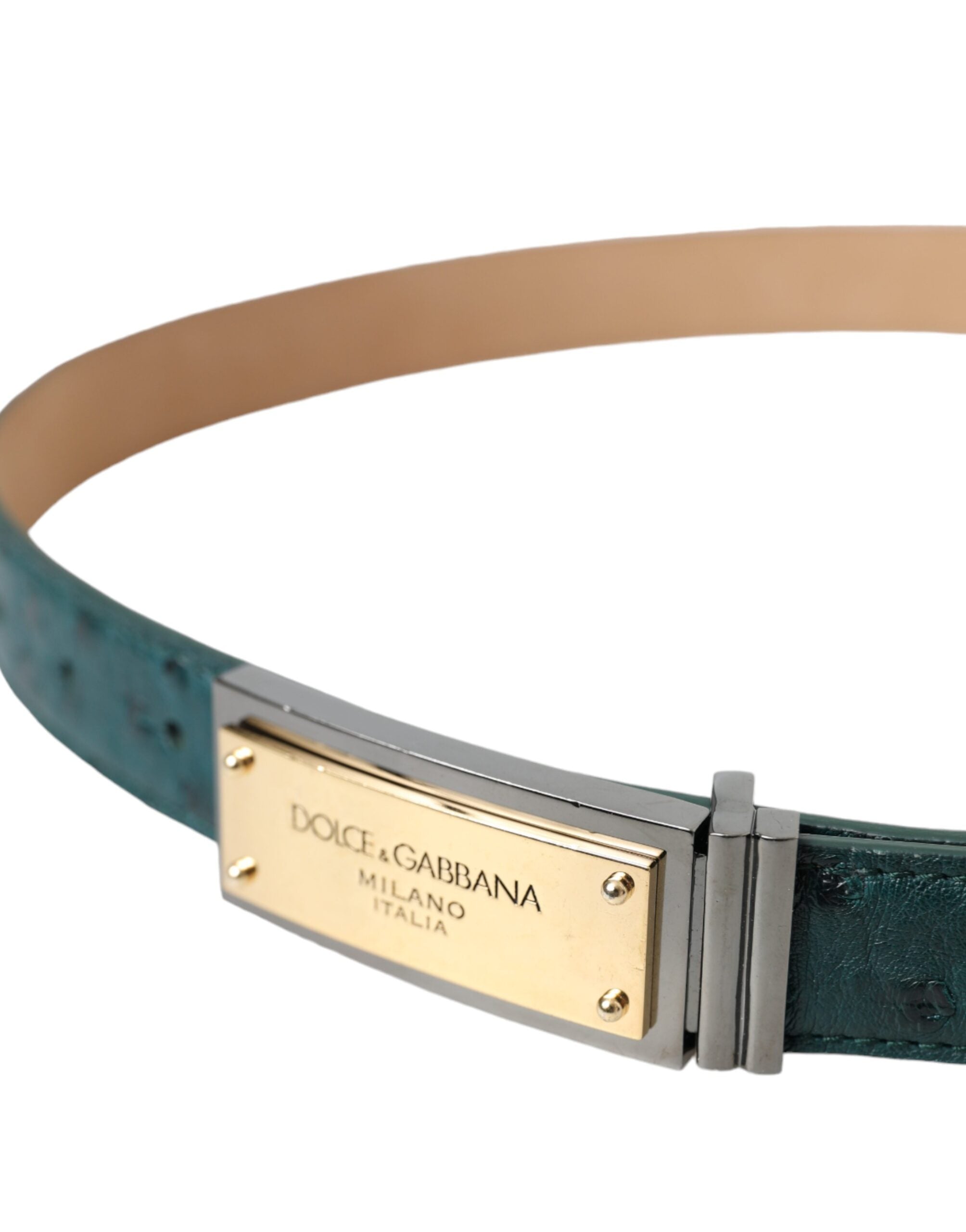 Cinturón Dolce & Gabbana de cuero verde con hebilla dorada grabada con el logo