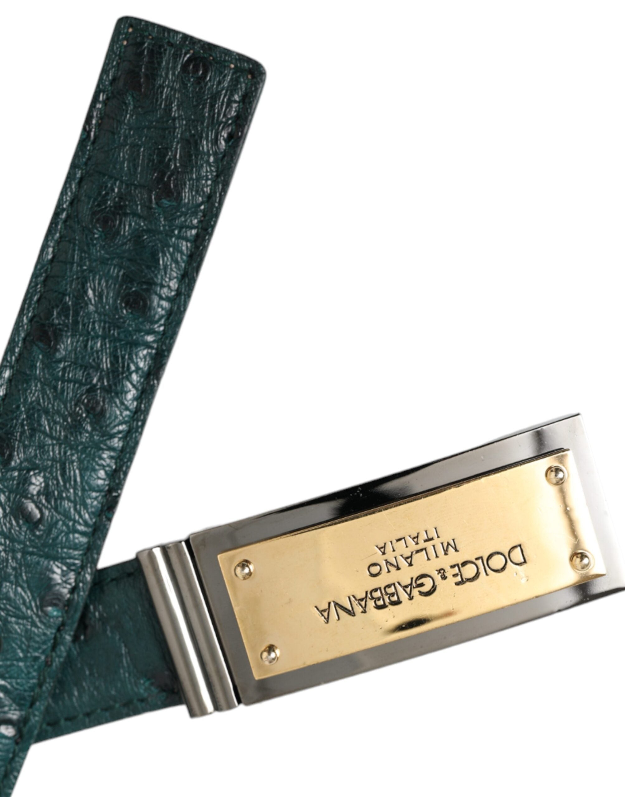 Cinturón Dolce & Gabbana de cuero verde con hebilla dorada grabada con el logo