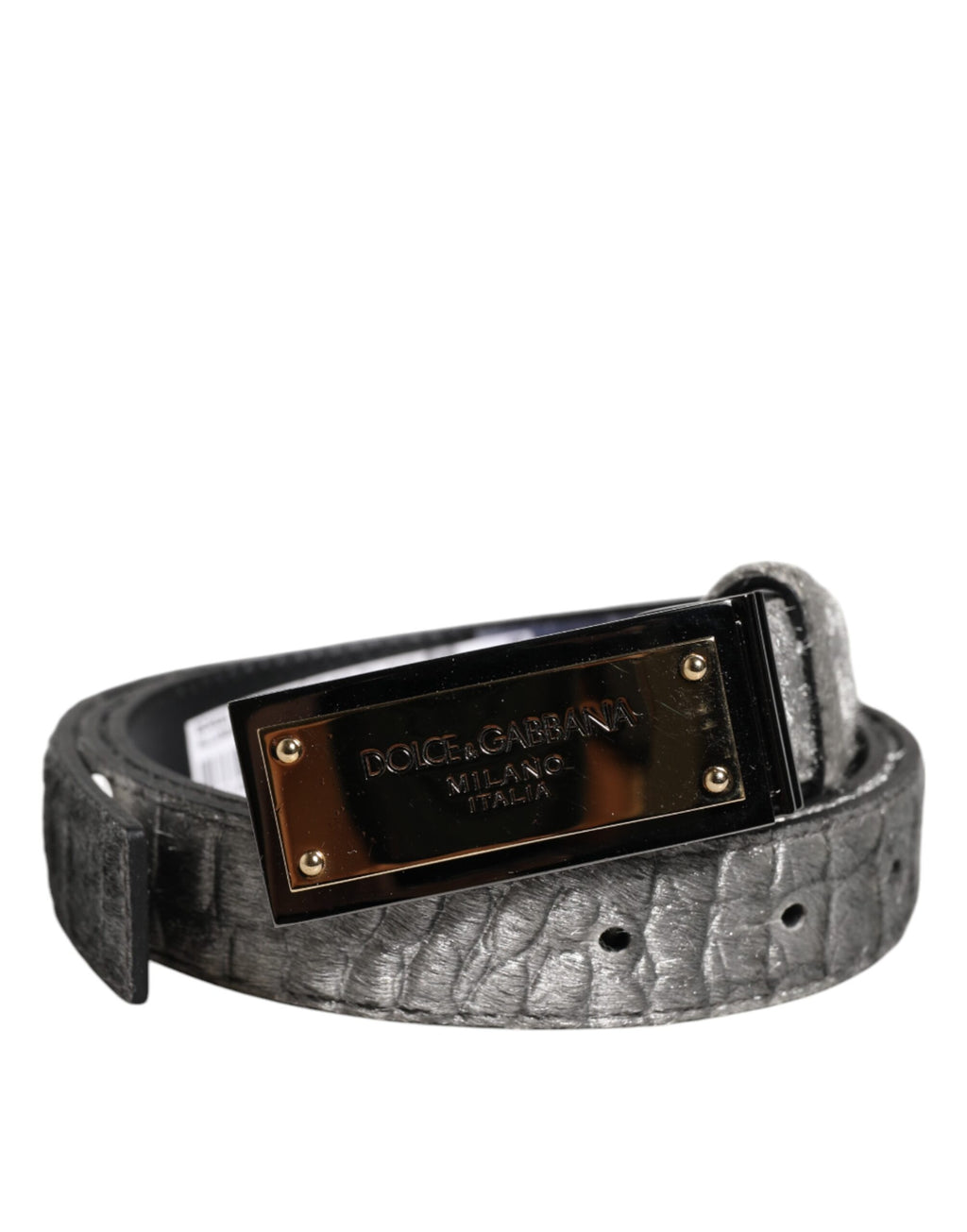 Dolce & Gabbana Silver Classic Gold Logo Plaque Buckle Belt