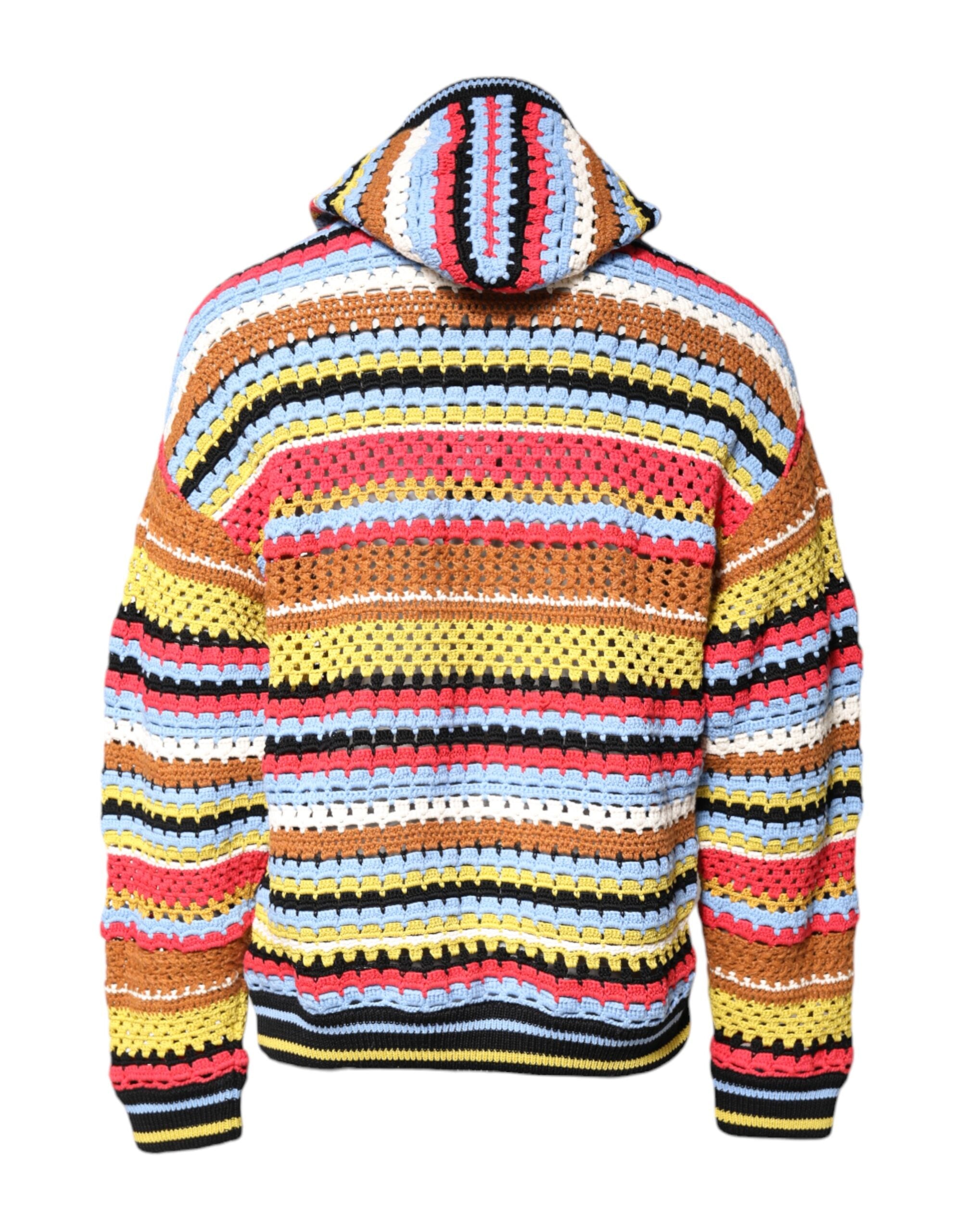 Sudadera con capucha Dolce & Gabbana de algodón multicolor