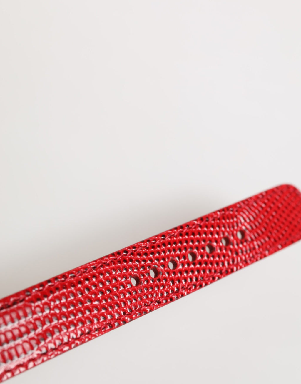 Dolce & Gabbana Red Exotic Leather Gold Tone Metal Buckle Women Armband